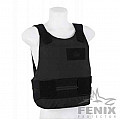 Ballistic protection