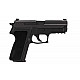 Pistol Sig Sauer P229 (Nitron Compact Black) 9x19