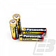 AA Panasonic Pro Power