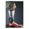 Vega ankle Holster C2