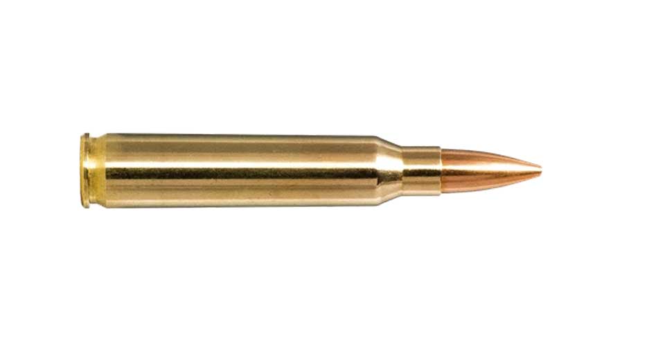 Φυσίγγια .223 Norma FMJ 55gr (30τεμ)