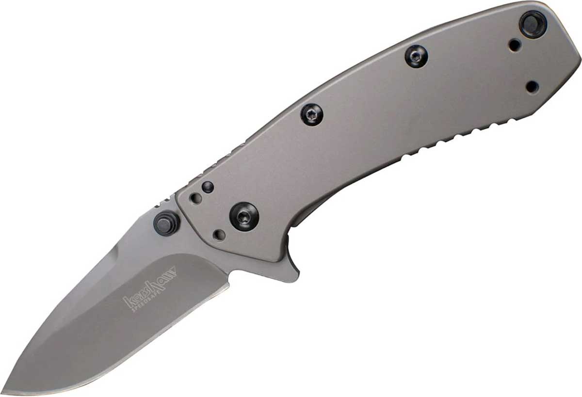 Kershaw Cryo folding knife